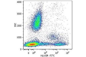 Surface staining of human peripheral blood cells with anti-human HLA-DR (MEM-12) FITC. (HLA-DR antibody  (APC))