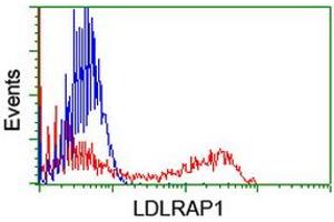 Flow Cytometry (FACS) image for anti-Low Density Lipoprotein Receptor Adaptor Protein 1 (LDLRAP1) antibody (ABIN1496691) (LDLRAP1 antibody)