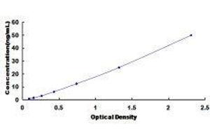 Heat Shock 70kDa Protein 1A (HSPA1A) ELISA Kit
