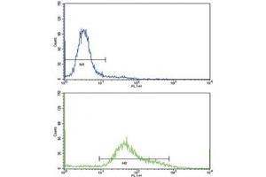Flow Cytometry (FACS) image for anti-Transferrin Receptor (p90, CD71) (TFRC) (AA 649-677) antibody (ABIN3029214)