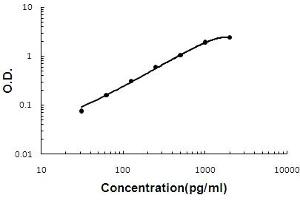 Sandwich ELISA - Recombinant mouse Oncostatin M/Osm protein standard curve. (Oncostatin M antibody  (AA 25-206))