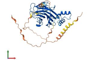 Protein Structure (PS) image for SplA/ryanodine Receptor Domain and SOCS Box Containing 3 (SPSB3) (AA 1-355) protein (His tag) (ABIN7546349)
