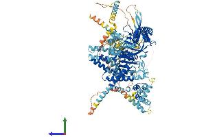AlphaFold protein structure predicition of Human Recombinant USP25 Protein, UniprotID Q9UHP3 (USP25 Protein (AA 1-1055) (His tag))