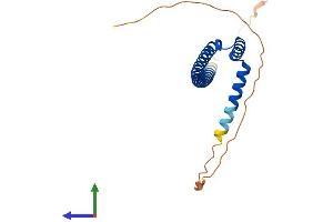 Protein Structure (PS) image for Amino-terminal Enhancer of Split (AES) (AA 1-197) protein (His tag) (ABIN7551986)