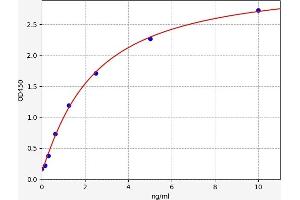 Typical standard curve (RAC1 ELISA Kit)