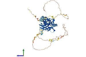 AlphaFold protein structure predicition of Mouse Recombinant Rela Protein, UniprotID Q04207 (NF-kB p65 Protein (AA 1-549) (His tag))