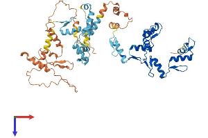 AlphaFold protein structure predicition of Human Recombinant ZNF674 Protein, UniprotID Q2M3X9 (ZNF674 Protein (AA 1-581) (His tag))
