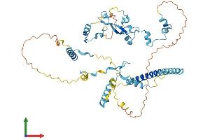 AlphaFold protein structure predicition of Human Recombinant LTV1 Protein, UniprotID Q96GA3