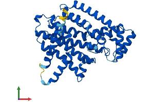 Protein Structure (PS) image for Farnesyl Diphosphate Synthase (FDPS) (AA 1-353) protein (His tag) (ABIN7560173)