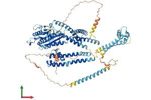 Protein Structure (PS) image for Polycystic Kidney Disease 2-Like 1 (PKD2L1) (AA 1-805) protein (His tag) (ABIN7554970)