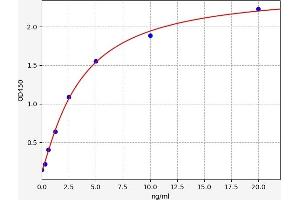 Typical standard curve (Dopamine d2 Receptor ELISA Kit)