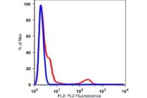 Flow Cytometry (FACS) image for anti-CD19 Molecule (CD19) antibody (Biotin) (ABIN3071788) (CD19 antibody  (Biotin))