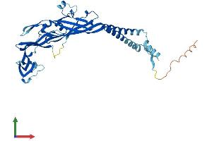 Protein Structure (PS) image for Purinergic Receptor P2X, Ligand Gated Ion Channel 1 (P2RX1) (AA 1-399) protein (His tag) (ABIN7563383)