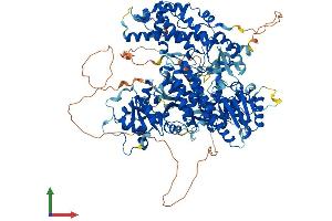AlphaFold protein structure predicition of Human Recombinant TERT Protein, UniprotID O14746 (TERT Protein (AA 1-1132) (His tag))