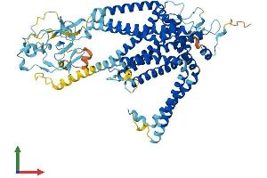 AlphaFold protein structure predicition of Mouse Recombinant Slc44a4 Protein, UniprotID Q91VA1 (SLC44A4 Protein (AA 1-707) (His tag))