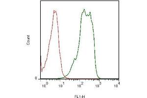 Mouse kidney cells probed with Rabbit Anti-NTCP/SLC10A1 Polyclonal Antibody, FITC Conjugated (ABIN675908-FITC) (green) at 1:50 for 40 minutes compared to control cells (red). (SLC10A1 antibody  (AA 21-120))