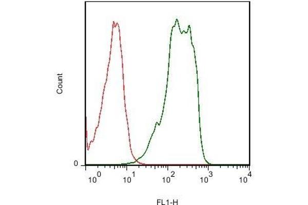 SLC10A1 antibody  (AA 21-120)