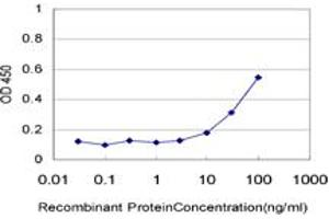 Detection limit for recombinant GST tagged CFL1 is approximately 10ng/ml as a capture antibody. (Cofilin antibody  (AA 1-166))