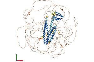 AlphaFold protein structure predicition of Mouse Recombinant Shroom4 Protein, UniprotID Q1W617 (Shroom Family Member 4 (SHROOM4) (AA 1-1475) protein (His tag))