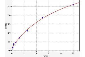 IL36A/IL1F6 ELISA Kit