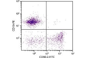 BALB/c mouse splenocytes were stained with Rat Anti-Mouse CD90. (CD90.2 / Thy-1.2 antibody  (FITC))