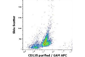 Flow cytometry surface staining pattern of REH cells stained using anti-human CD135 (BV10A4) purified antibody (concentration in sample 5 μg/mL, GAM APC). (FLT3 antibody)