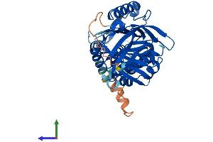 AlphaFold protein structure predicition of Human Recombinant SERPINB10 Protein, UniprotID P48595