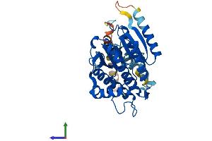 Protein Structure (PS) image for Retinol Dehydrogenase 14 (All-Trans/9-Cis/11-Cis) (RDH14) (AA 1-336) protein (His tag) (ABIN7551221)