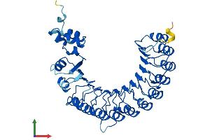 AlphaFold protein structure predicition of Mouse Recombinant Fbxl14 Protein, UniprotID Q8BID8