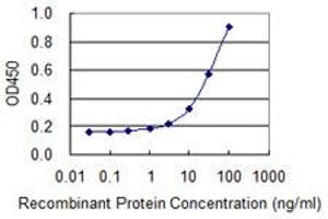 Detection limit for recombinant GST tagged PA2G4 is 1 ng/ml as a capture antibody. (PA2G4 antibody  (AA 1-110))