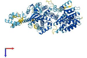 AlphaFold protein structure predicition of Mouse Recombinant Nlrp4b Protein, UniprotID Q8C6J9 (Nlrp4b Protein (AA 1-863) (His tag))