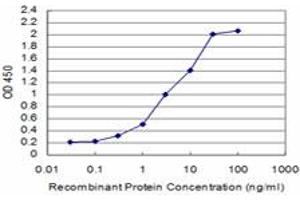 Detection limit for recombinant GST tagged SMAD5 is approximately 0. (SMAD5 antibody  (AA 105-182))