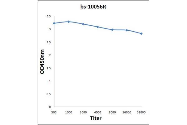 KNDC1 antibody  (AA 1601-1749)