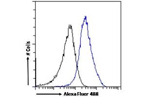 Flow Cytometry (FACS) image for anti-RAN Binding Protein 1 (RANBP1) (C-Term) antibody (ABIN185257)