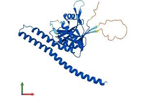 AlphaFold protein structure predicition of Mouse Recombinant C6.