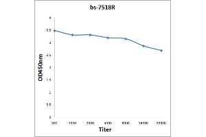 Antigen: 0. (RNH1 antibody  (AA 101-200))