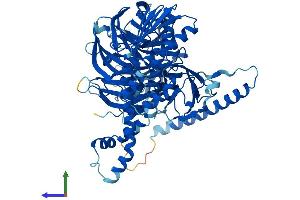Protein Structure (PS) image for Bardet-Biedl Syndrome 7 (BBS7) (AA 1-715) protein (His tag) (ABIN7564633)