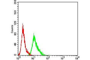 Flow cytometric analysis of MCF-7 cells using AEBP2 mouse mAb (green) and negative control (red). (AEBP2 antibody  (AA 358-495))