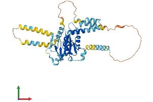 Protein Structure (PS) image for Ataxin 3 (ATXN3) (AA 1-355) protein (His tag) (ABIN7564950)