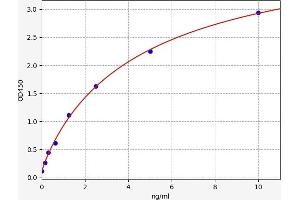Cytochrome P450, Family 19, Subfamily A, Polypeptide 1 (CYP19A1) ELISA Kit