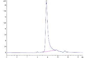 The purity of Human IL-17F is greater than 95 % as determined by SEC-HPLC. (IL17F Protein (AA 31-163) (His tag))