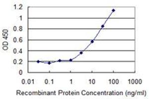 Detection limit for recombinant GST tagged CD58 is 1 ng/ml as a capture antibody. (CD58 antibody  (AA 1-240))
