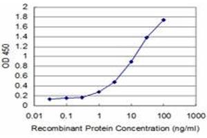 Detection limit for recombinant GST tagged TTK is approximately 0. (Mps1 antibody  (AA 1-176))