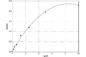 Glutaminyl-Peptide Cyclotransferase-Like (QPCTL) ELISA Kit