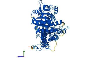 Protein Structure (PS) image for Tubulin, gamma 2 (TUBG2) (AA 1-451) protein (His tag) (ABIN7544327)
