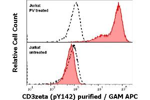 Anti-Hu CD3 zeta (pY142) purified antibody (clone EM-54) works in Flow Cytometry application Analysis of the antibody staining was performed on Jurkat cells treated or untreated with pervanadate (PV) prior to the fixation and permeabilization of cell suspension with cold methanol. (CD247 antibody  (pTyr142))