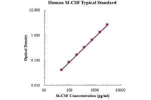 ELISA image for Colony Stimulating Factor 1 (Macrophage) (CSF1) ELISA Kit (ABIN3198595)