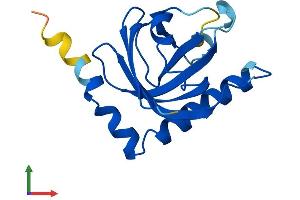 AlphaFold protein structure predicition of Human Recombinant RFK Protein, UniprotID Q969G6 (Riboflavin Kinase Protein (RFK) (AA 1-155) (His tag))