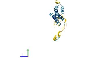 AlphaFold protein structure predicition of Mouse Recombinant Hes2 Protein, UniprotID O54792