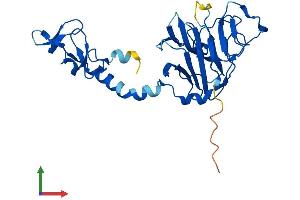 AlphaFold protein structure predicition of Mouse Recombinant Rfpl4a Protein, UniprotID Q8VH31 (RFPL4A Protein (AA 1-287) (His tag))